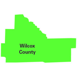 Wilcox County